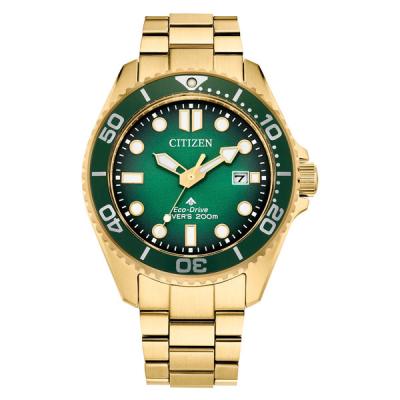 Citizen Eco-Drive Promaster Dive Watch with Green Dial