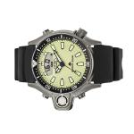 Citizen Promaster Aqualand Limited Edition Dive Watch