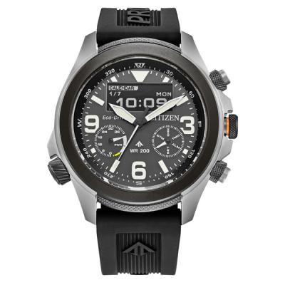 Citizen Promaster Land Ani-Digi Watch with Black Dial
