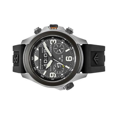 Citizen Promaster Land Ani-Digi Watch with Black Dial